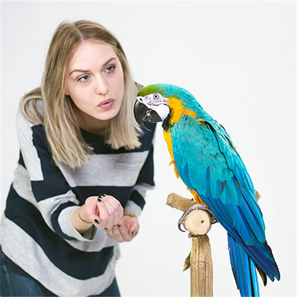 Girl with parrot